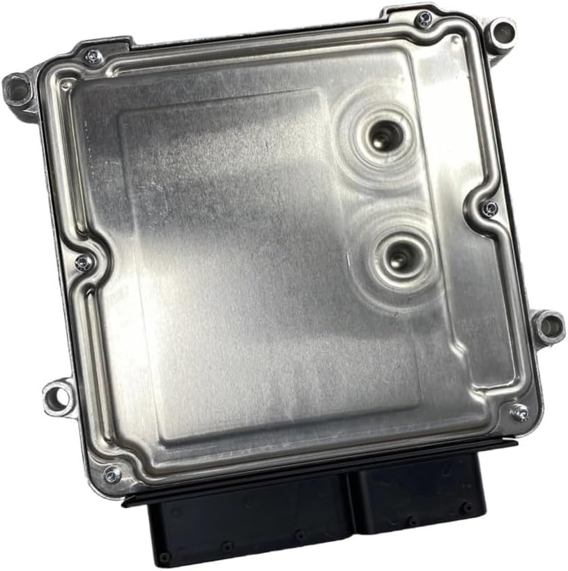 希少・特大サイズ｜ヴィンテージ日本製茶筅 ディスプレイ用に最適 希少・特大サイズ｜ヴィンテージ日本製茶筅 ディスプレイ用に